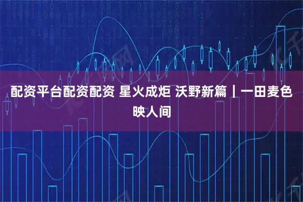 配资平台配资配资 星火成炬 沃野新篇｜一田麦色映人间